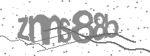 visual captcha